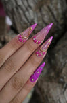 Lavander